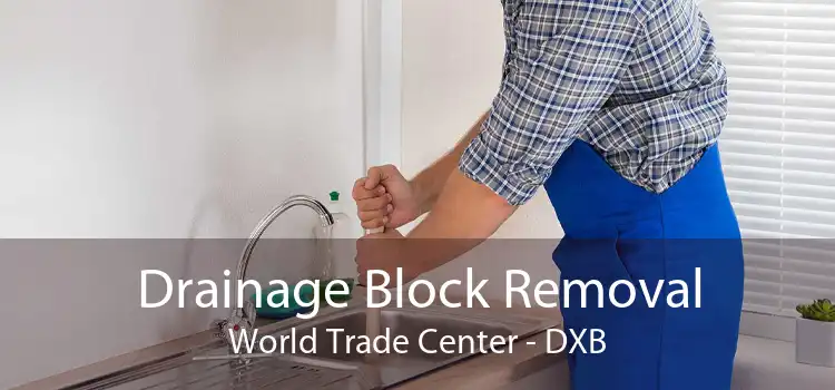 Drainage Block Removal World Trade Center - DXB