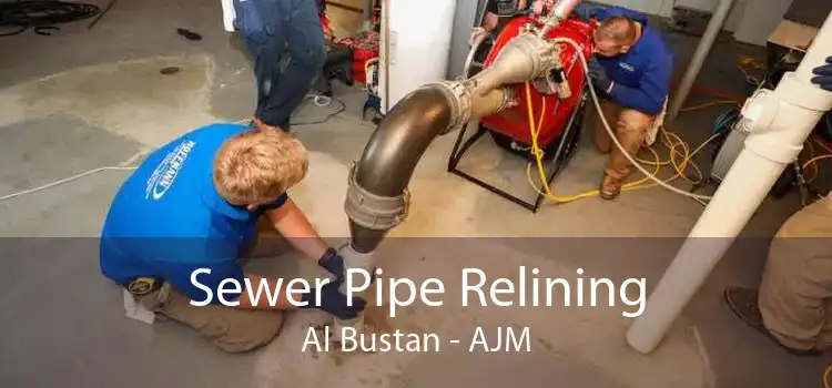 Sewer Pipe Relining Al Bustan - AJM
