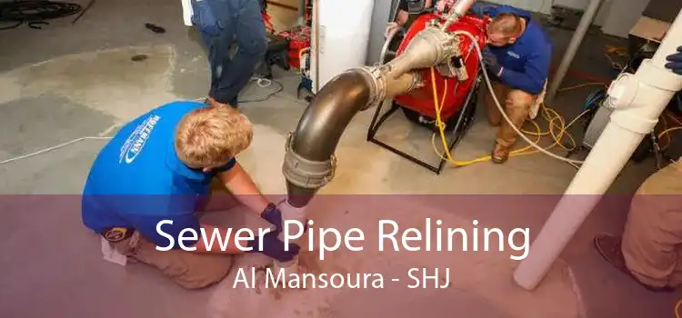 Sewer Pipe Relining Al Mansoura - SHJ