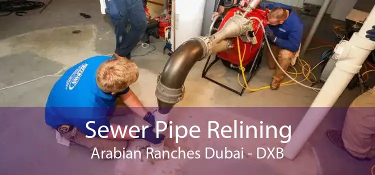 Sewer Pipe Relining Arabian Ranches Dubai - DXB