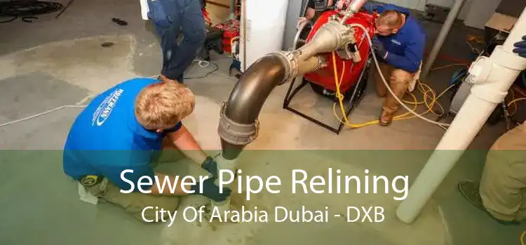 Sewer Pipe Relining City Of Arabia Dubai - DXB