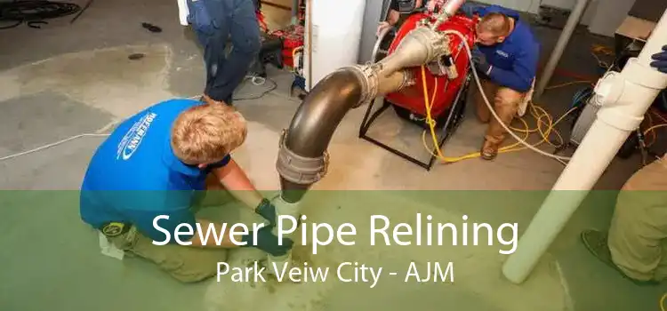 Sewer Pipe Relining Park Veiw City - AJM