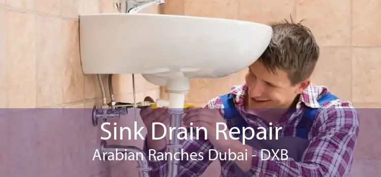 Sink Drain Repair Arabian Ranches Dubai - DXB