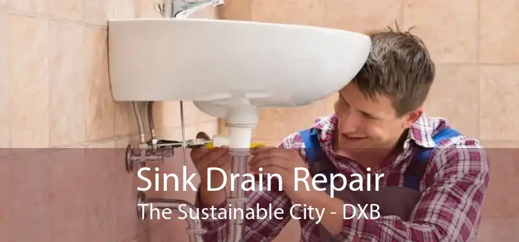 Sink Drain Repair The Sustainable City - DXB