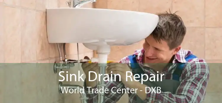 Sink Drain Repair World Trade Center - DXB
