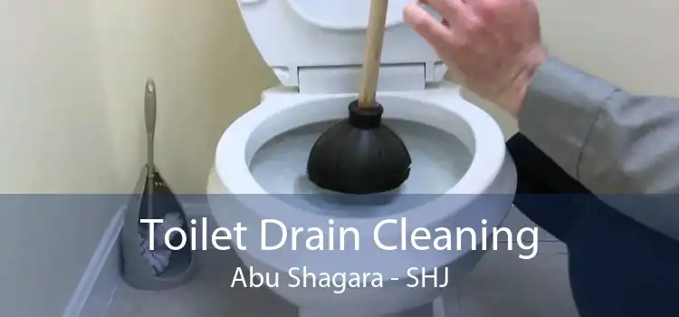 Toilet Drain Cleaning Abu Shagara - SHJ