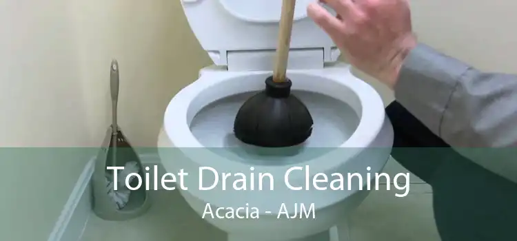 Toilet Drain Cleaning Acacia - AJM