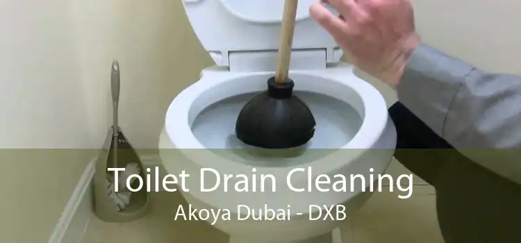 Toilet Drain Cleaning Akoya Dubai - DXB