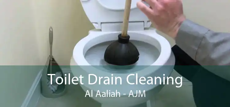 Toilet Drain Cleaning Al Aaliah - AJM