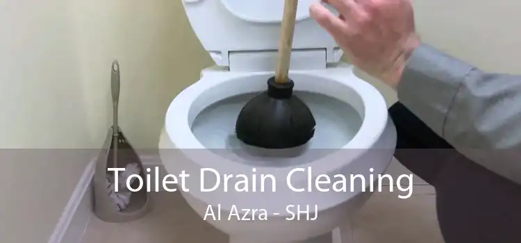 Toilet Drain Cleaning Al Azra - SHJ