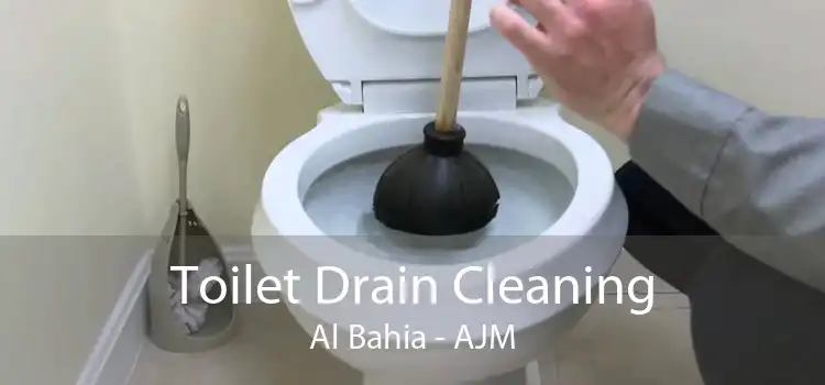 Toilet Drain Cleaning Al Bahia - AJM