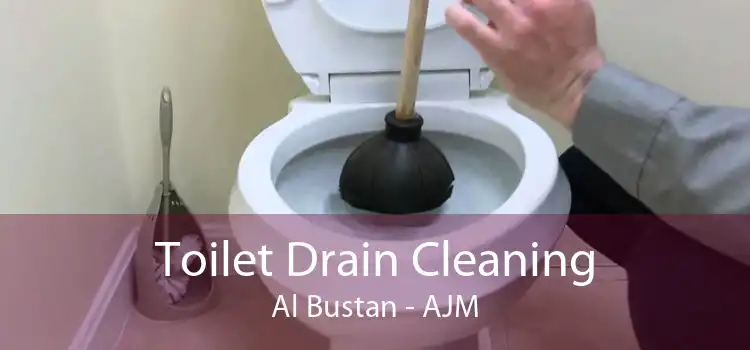 Toilet Drain Cleaning Al Bustan - AJM