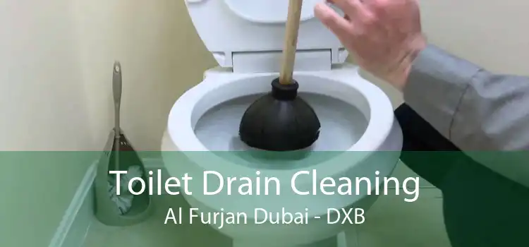 Toilet Drain Cleaning Al Furjan Dubai - DXB
