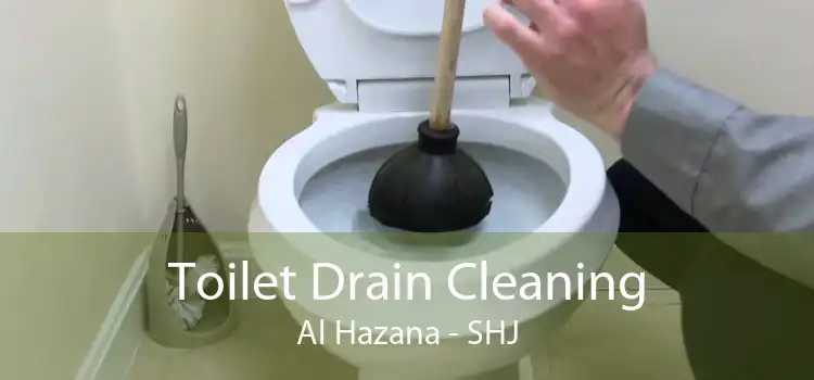 Toilet Drain Cleaning Al Hazana - SHJ