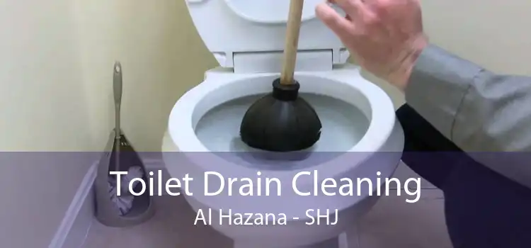 Toilet Drain Cleaning Al Hazana - SHJ