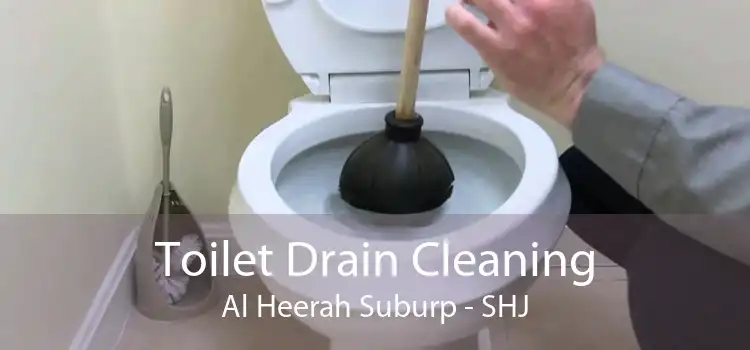 Toilet Drain Cleaning Al Heerah Suburp - SHJ