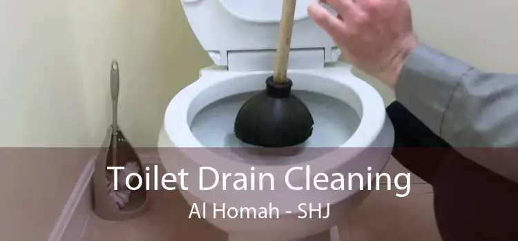Toilet Drain Cleaning Al Homah - SHJ