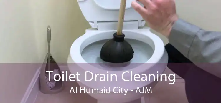 Toilet Drain Cleaning Al Humaid City - AJM