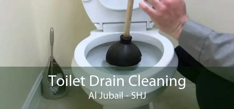 Toilet Drain Cleaning Al Jubail - SHJ