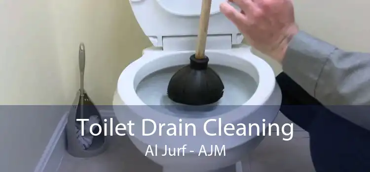 Toilet Drain Cleaning Al Jurf - AJM