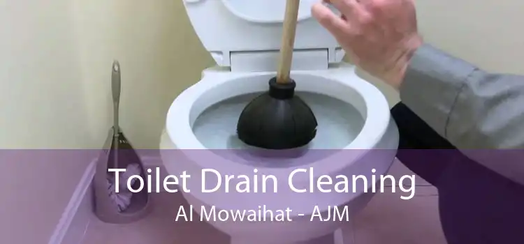 Toilet Drain Cleaning Al Mowaihat - AJM