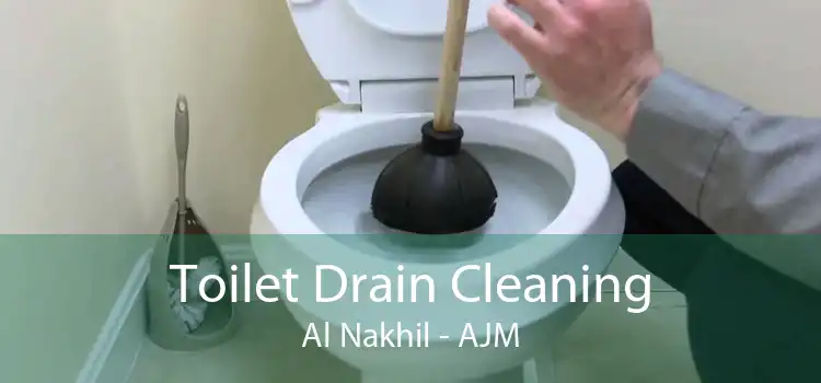 Toilet Drain Cleaning Al Nakhil - AJM