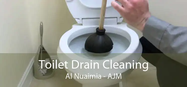 Toilet Drain Cleaning Al Nuaimia - AJM