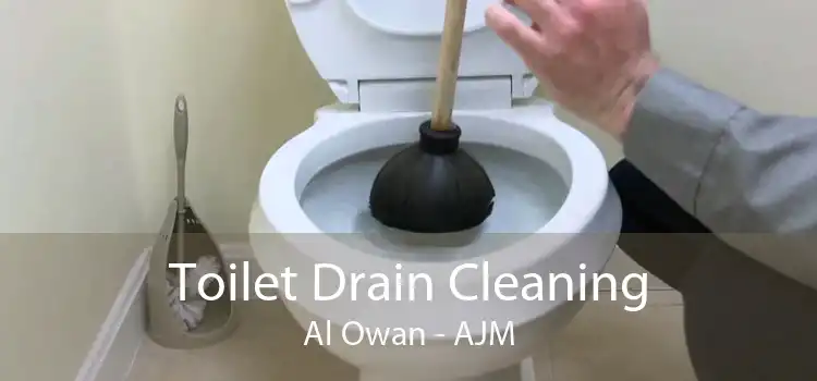 Toilet Drain Cleaning Al Owan - AJM