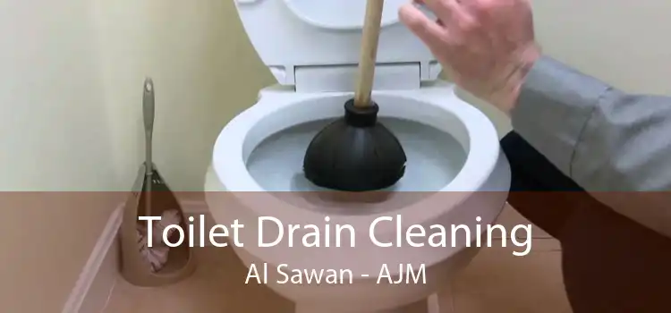 Toilet Drain Cleaning Al Sawan - AJM