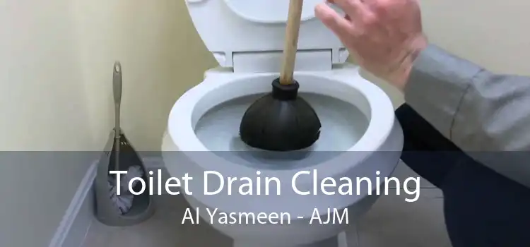 Toilet Drain Cleaning Al Yasmeen - AJM