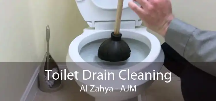 Toilet Drain Cleaning Al Zahya - AJM