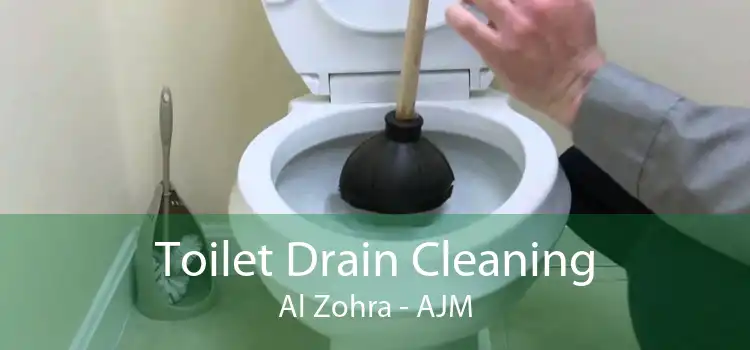 Toilet Drain Cleaning Al Zohra - AJM