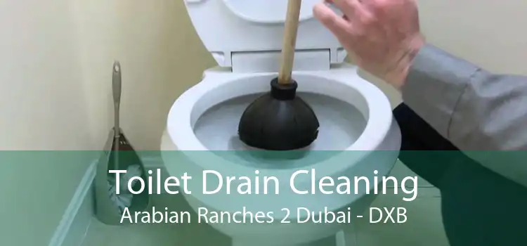 Toilet Drain Cleaning Arabian Ranches 2 Dubai - DXB