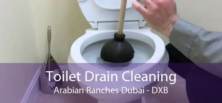 Toilet Drain Cleaning Arabian Ranches Dubai - DXB