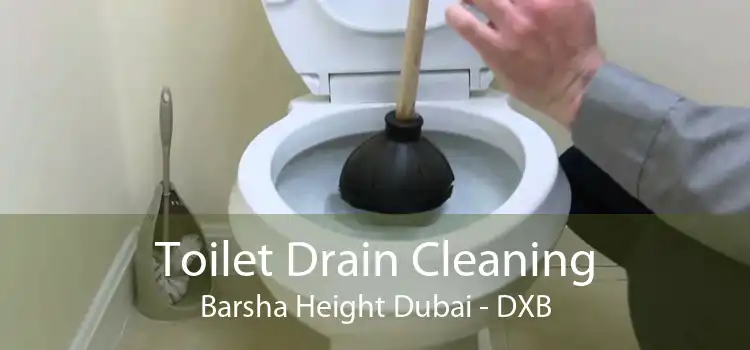 Toilet Drain Cleaning Barsha Height Dubai - DXB