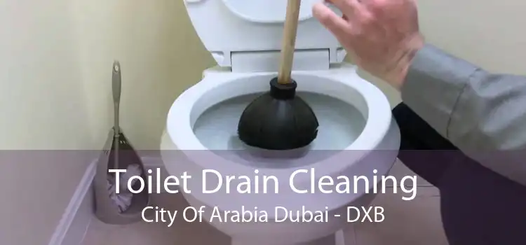 Toilet Drain Cleaning City Of Arabia Dubai - DXB