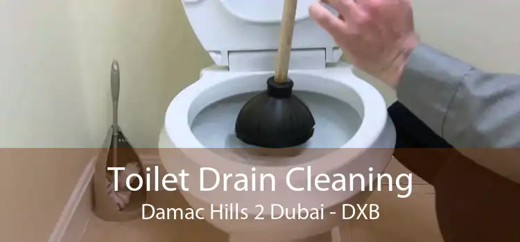 Toilet Drain Cleaning Damac Hills 2 Dubai - DXB