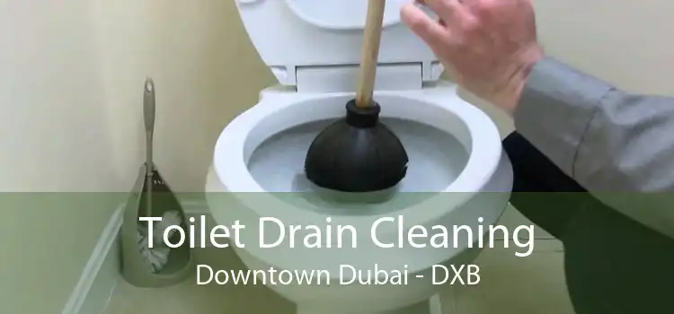 Toilet Drain Cleaning Downtown Dubai - DXB