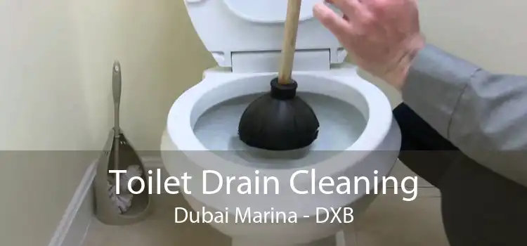 Toilet Drain Cleaning Dubai Marina - DXB