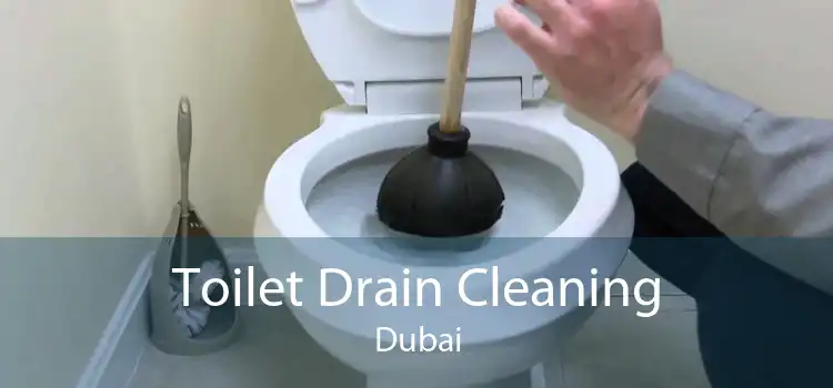 Toilet Drain Cleaning Dubai