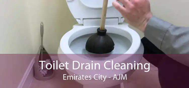 Toilet Drain Cleaning Emirates City - AJM