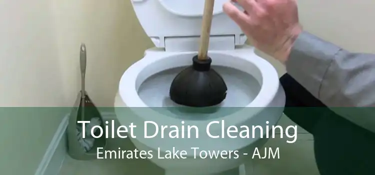 Toilet Drain Cleaning Emirates Lake Towers - AJM