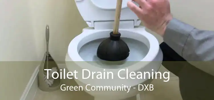 Toilet Drain Cleaning Green Community - DXB