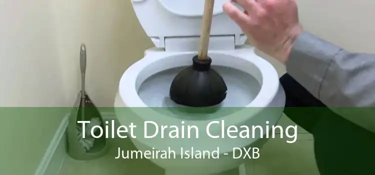 Toilet Drain Cleaning Jumeirah Island - DXB