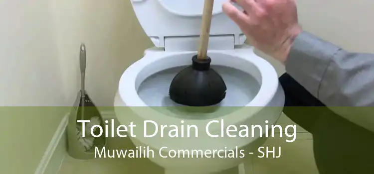 Toilet Drain Cleaning Muwailih Commercials - SHJ