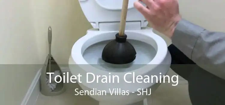 Toilet Drain Cleaning Sendian Villas - SHJ