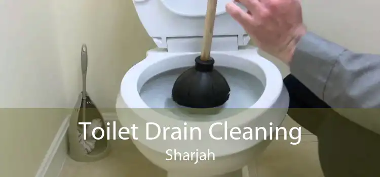 Toilet Drain Cleaning Sharjah