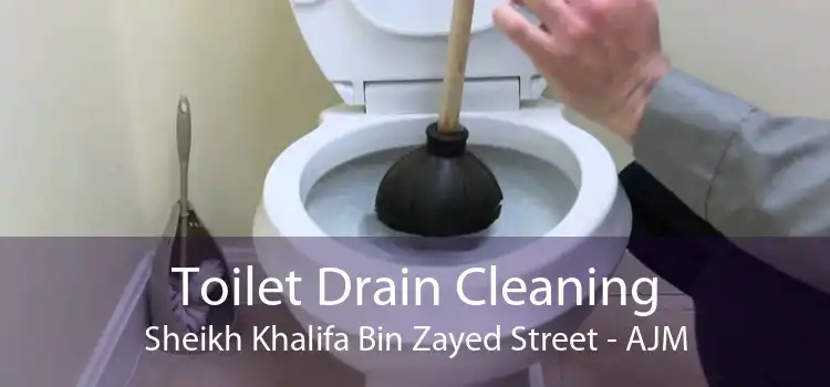 Toilet Drain Cleaning Sheikh Khalifa Bin Zayed Street - AJM