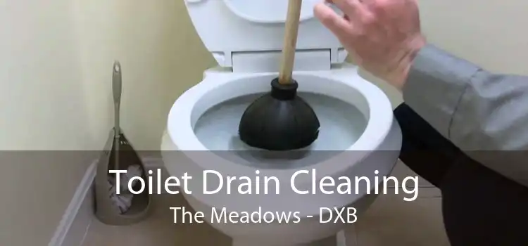 Toilet Drain Cleaning The Meadows - DXB