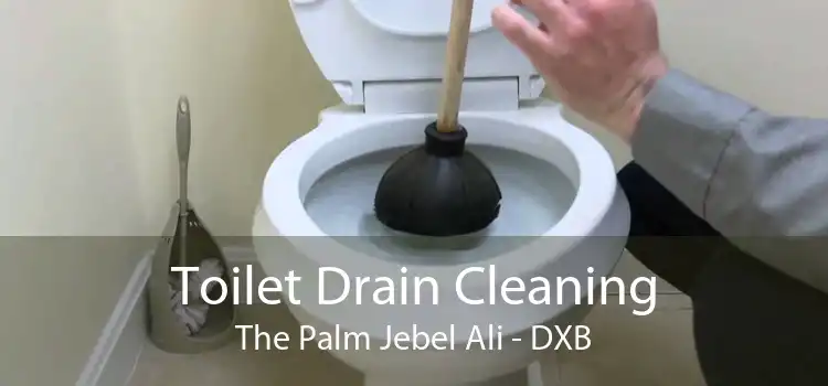 Toilet Drain Cleaning The Palm Jebel Ali - DXB